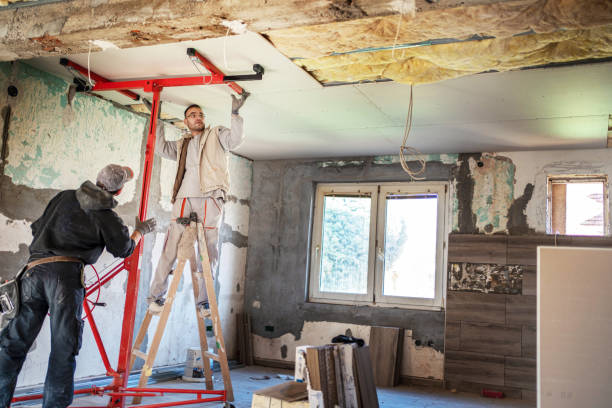 Best Cellulose Insulation in Seven Points, TX